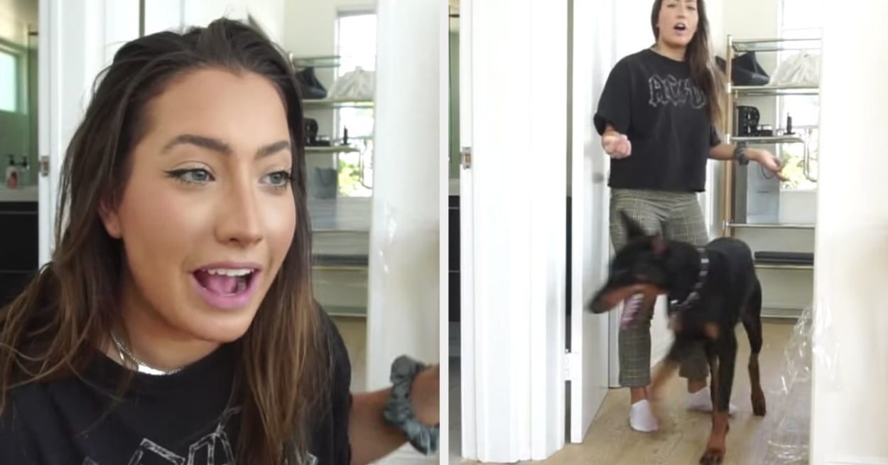 Police Investigate YouTuber Brooke Houts Over Dog Prank Video