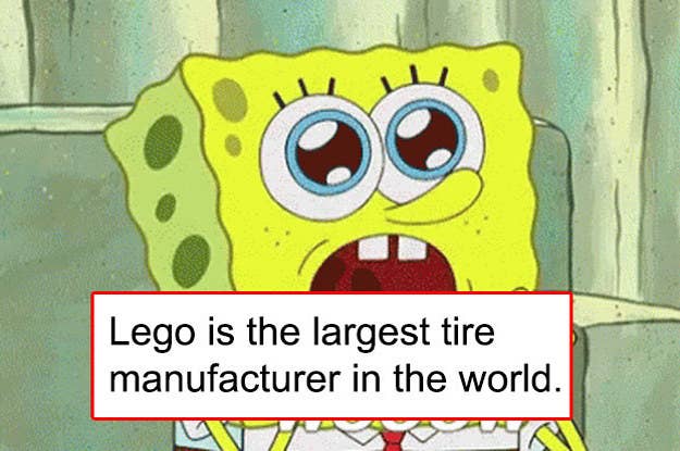 81 Fun Facts That'll Make Everyone You Know Say "I Never Knew That!"