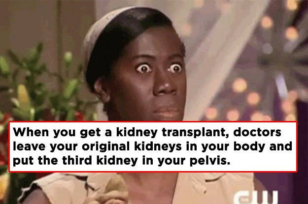 26 Completely True Facts That'll Make You Say "Sounds Fake, But OK"
