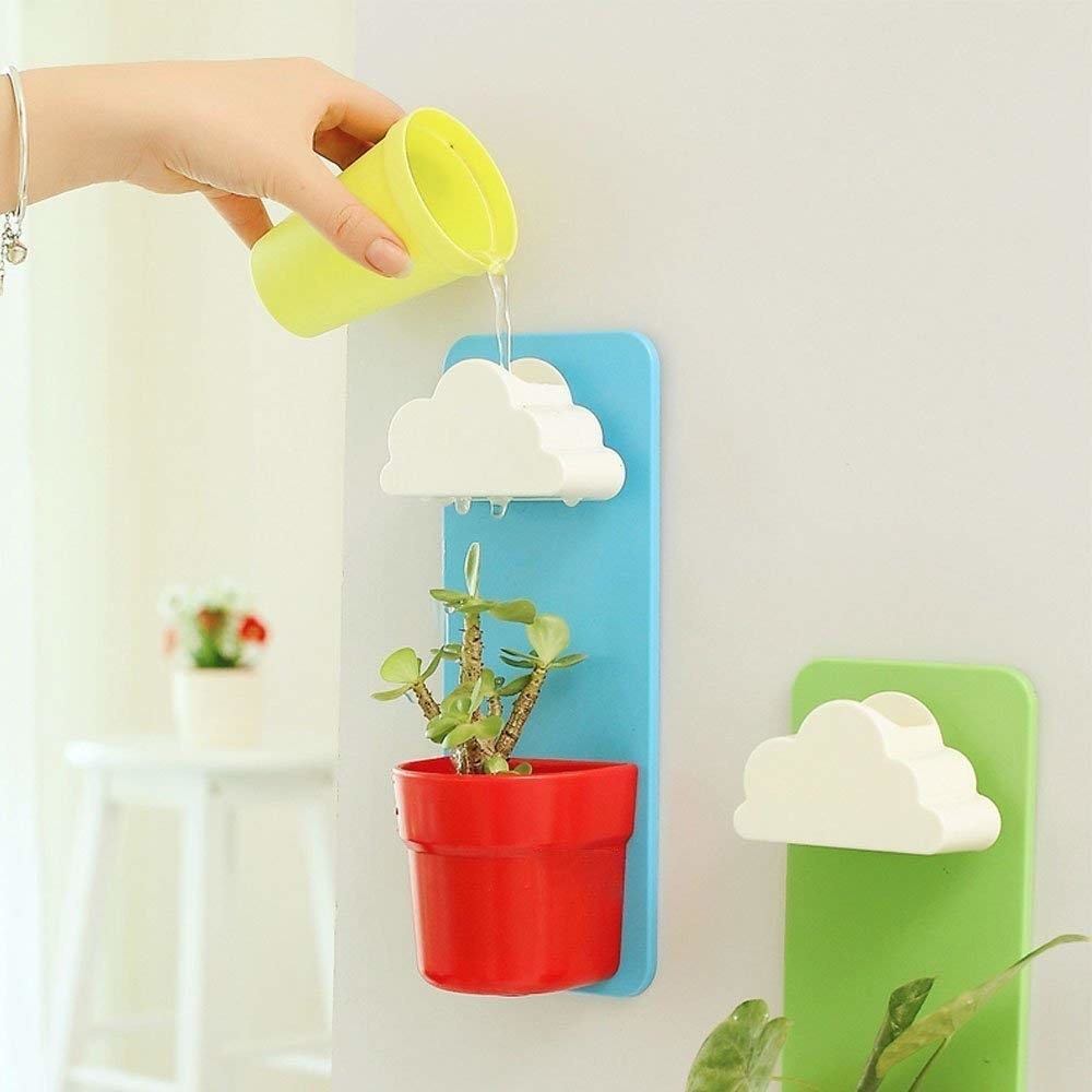 Model pouring water into the cloud, which trickles into the plant like rain