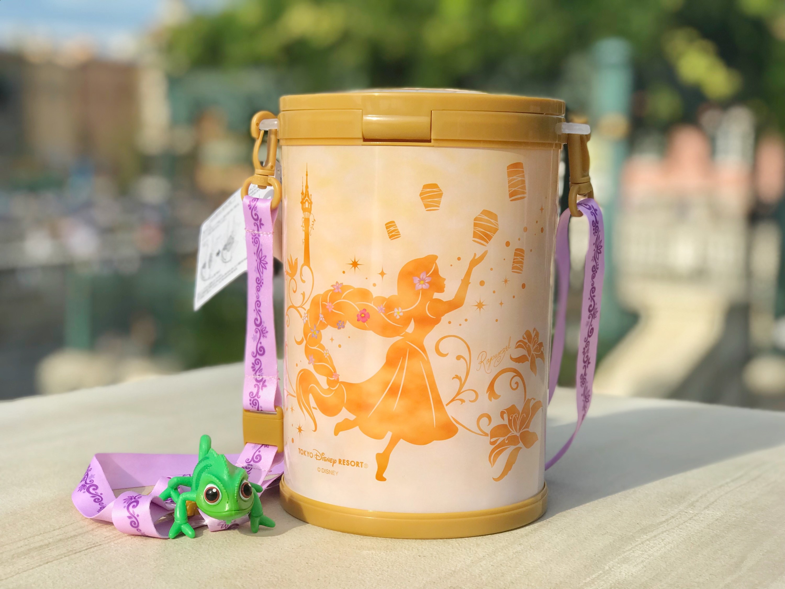 ディズニーランドのポップコーン、最高すぎるやつが登場したよ！