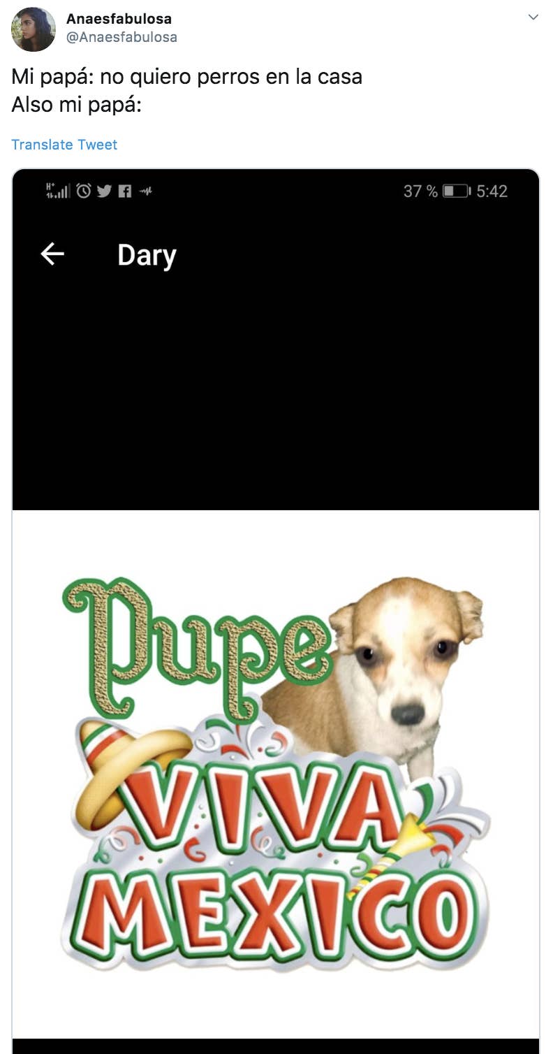 Mexican Dads Who Didn T Want A Dog And Eventually Came Around