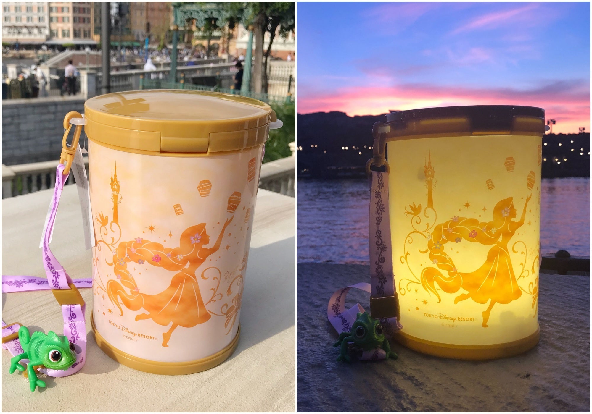 ディズニーランドのポップコーン、最高すぎるやつが登場したよ！