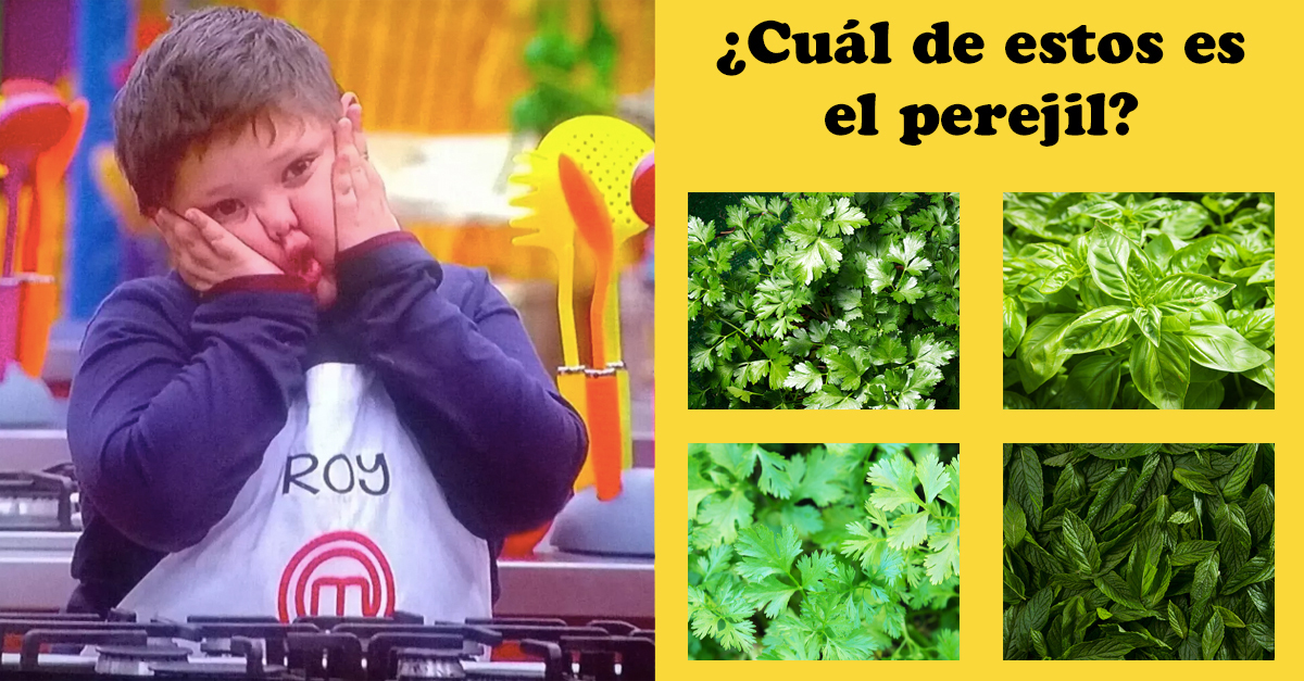 Este Quiz Básico De Cocina Te Dirá Si Podrías Participar En MasterChef