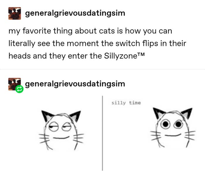 38 Times Tumblr Really Understood What Cats Are All About