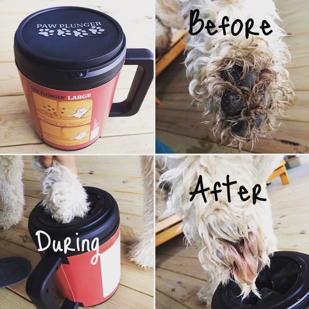Reviewer&#x27;s photos of their dog&#x27;s dirty paw going into the bucket and emerging clean