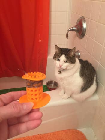 reviewer's orange silicone drain stopper with pet hair on it and cat in background