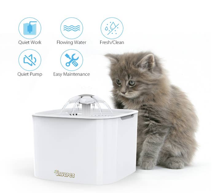 17 Products To Show Your Cat Just How Much You Love Them