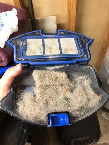An open vacuum showing how much fur and dirt it's picked up