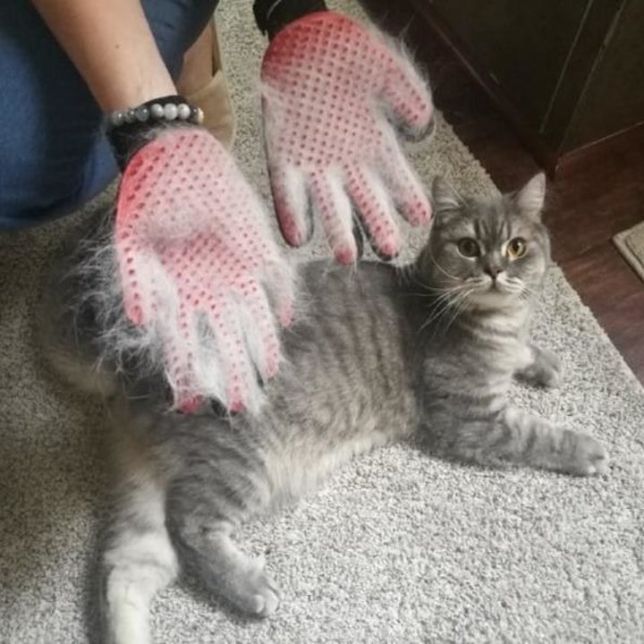 26 Useful Cleaning Products For People With Pets