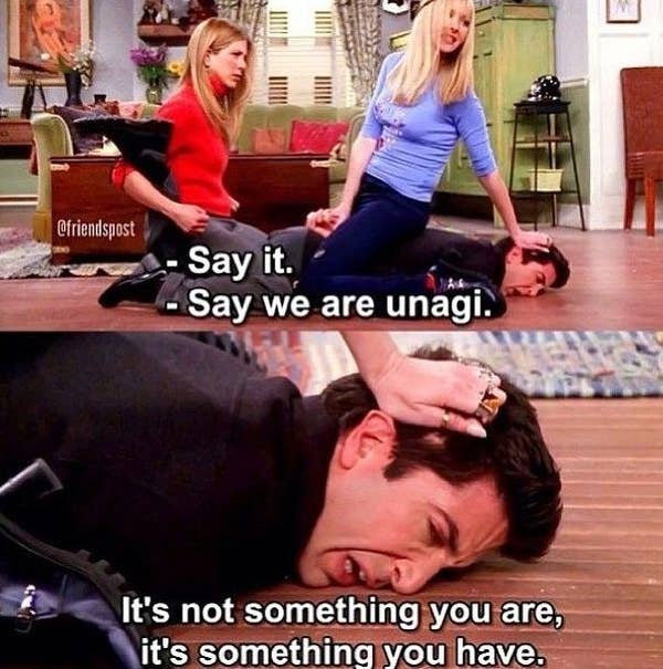 FRIENDS - Ross gets called out for UNAGI