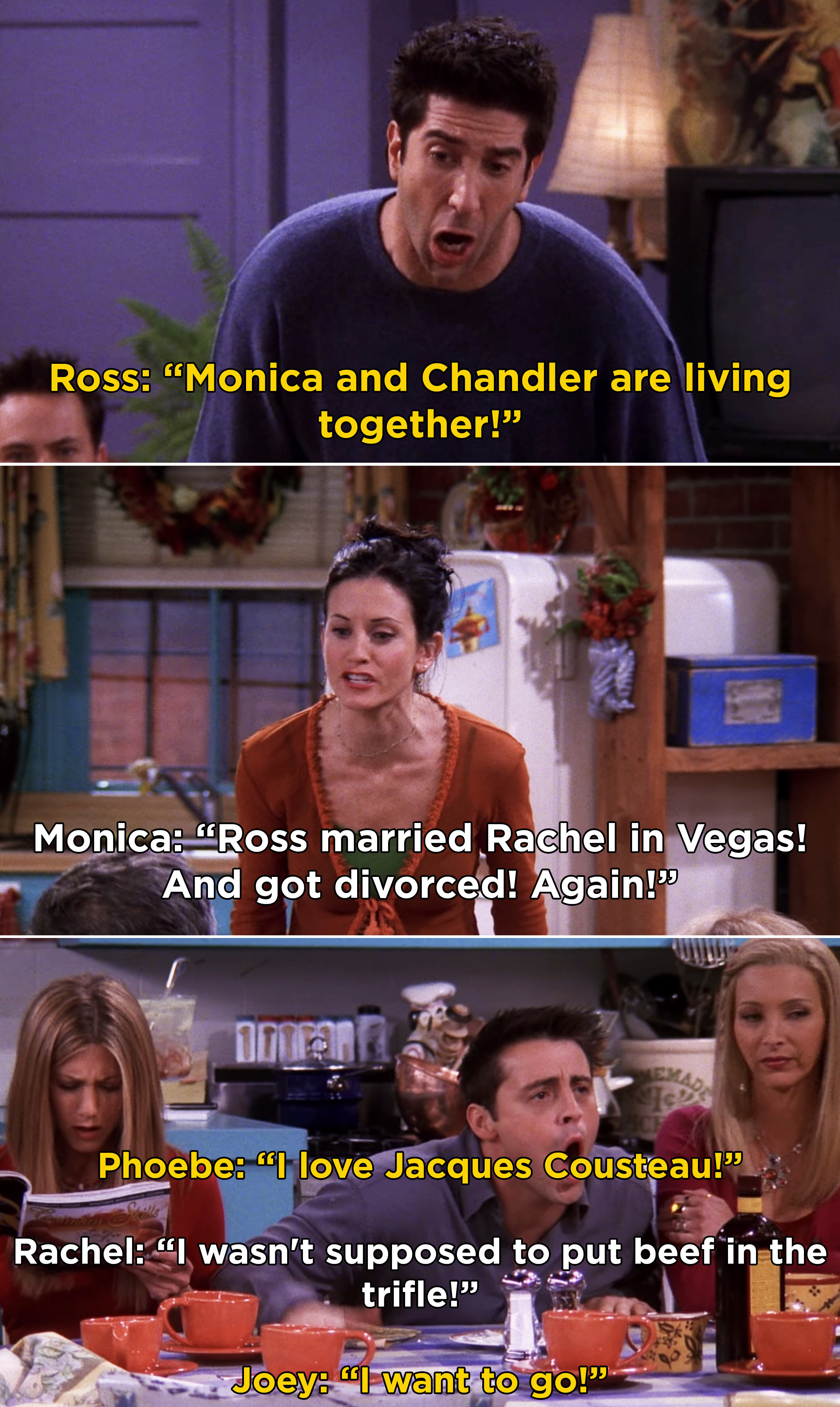 ross and phoebe trapped in a closet