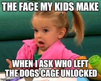 Good Luck Puppy Funny Happy Birthday Meme Happy Birthday Quotes