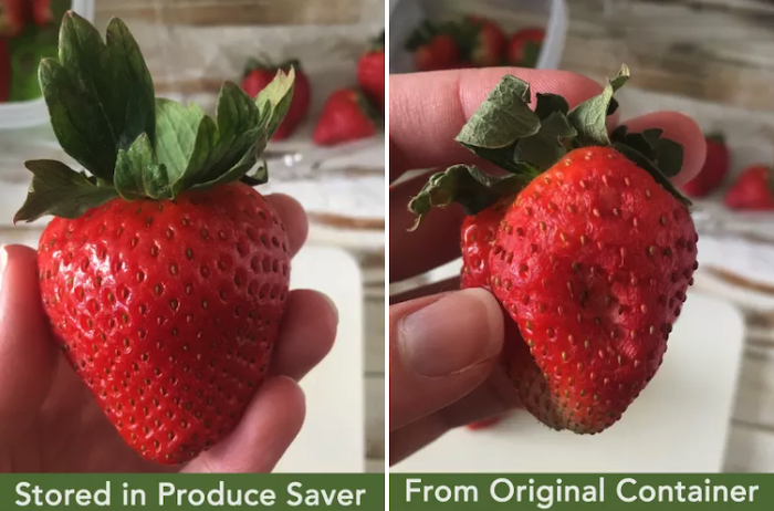 Two photos in one. The left side shows a strawberry that was in the produce-saving container for one week. It still looks fresh. The right side is one that was stored in a different container and it&#x27;s all shriveled up. Sorry to that strawberry.