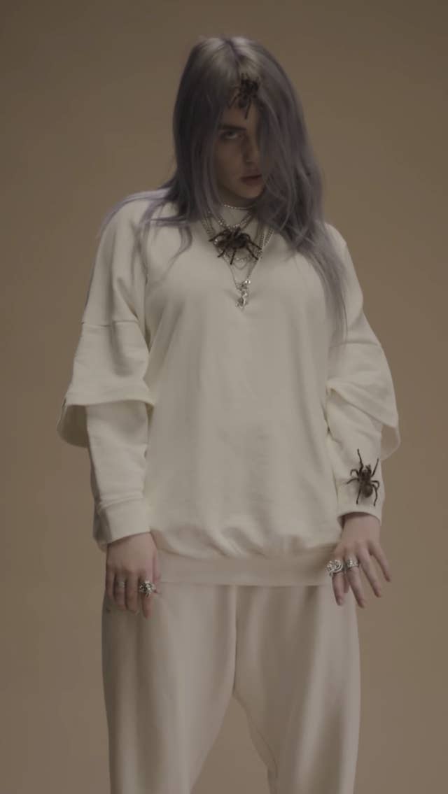 Billie Eilish Talked About Her Love Of Spiders And Her Pet Tarantula