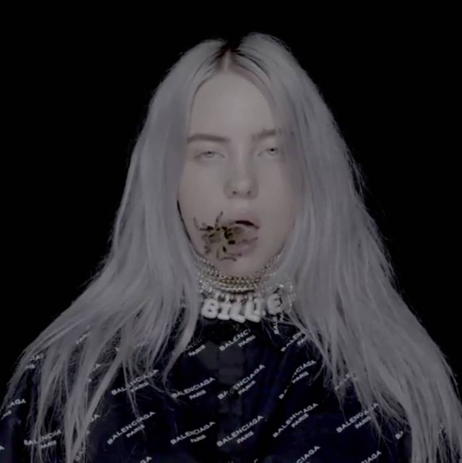 Billie Eilish Talked About Her Love Of Spiders And Her Pet Tarantula