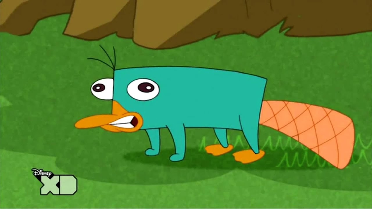perry the platypus voice actor
