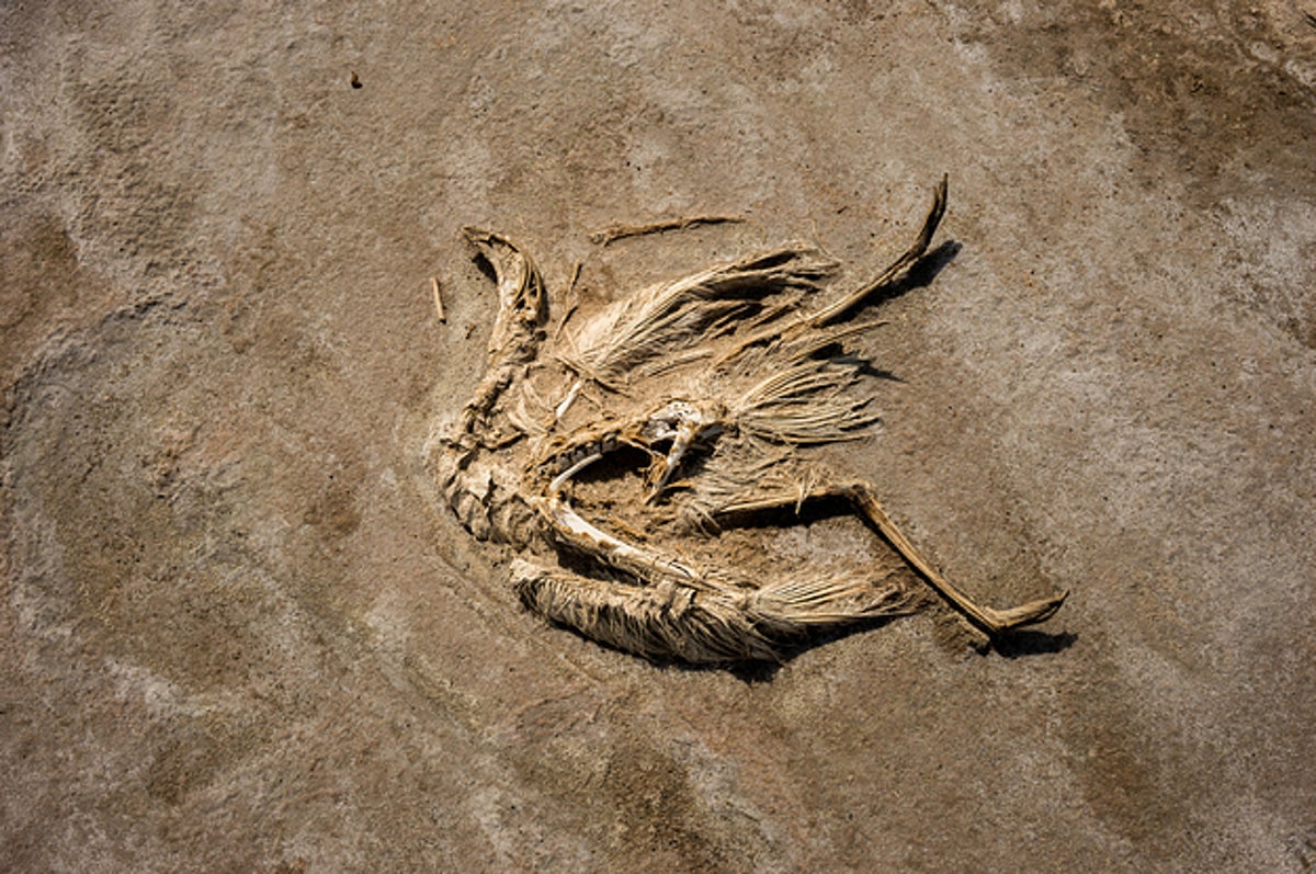 水がなくなると 世界はこんなふうになる