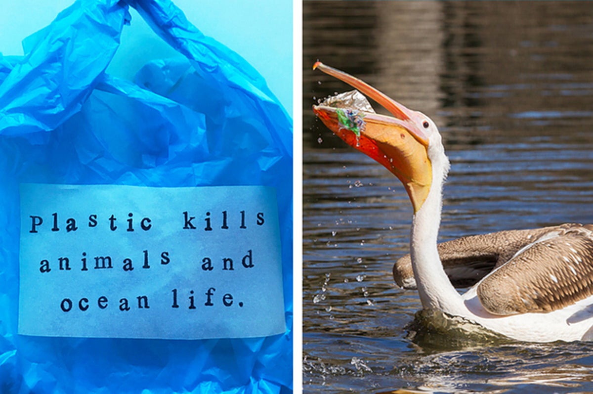 ビニール袋を2度と使いたくなくなる15の事実