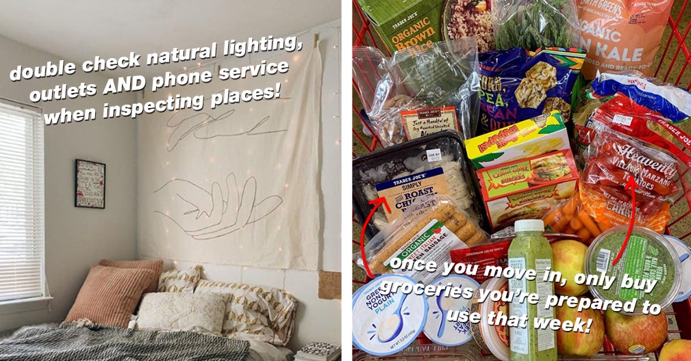 27 Helpful Moving Out Tips People Wish They Known The Round