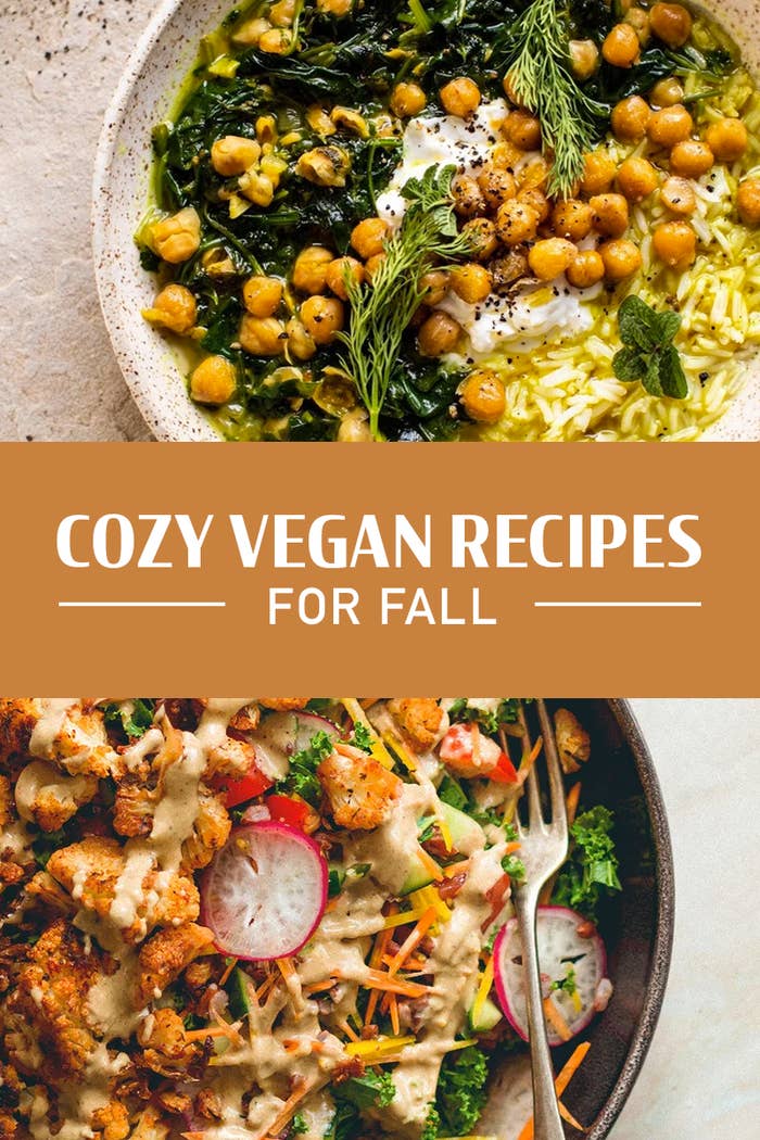 Vegan Recipes: Cozy Fall Meals For Vegans, Vegetarians, And Creative Cooks