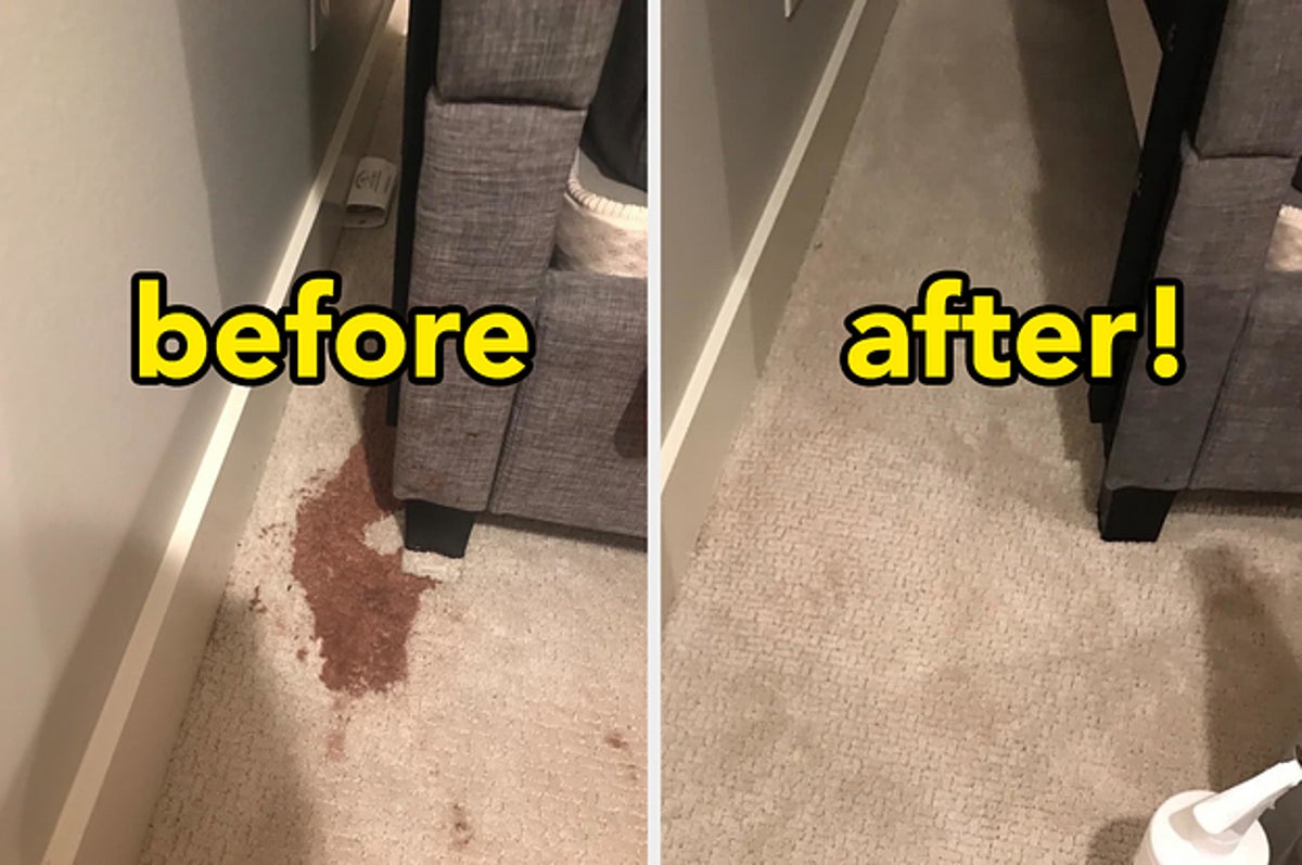 Deep Cleaning Before and After Photos