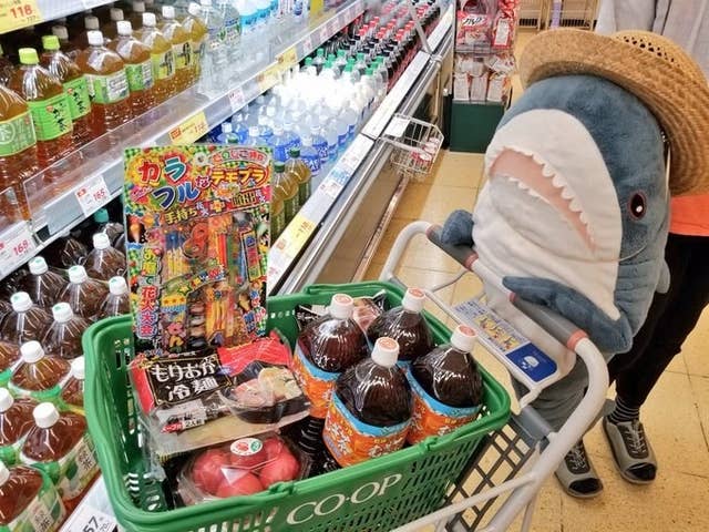 サメと共存する写真が疲れを解き放ってくれる件