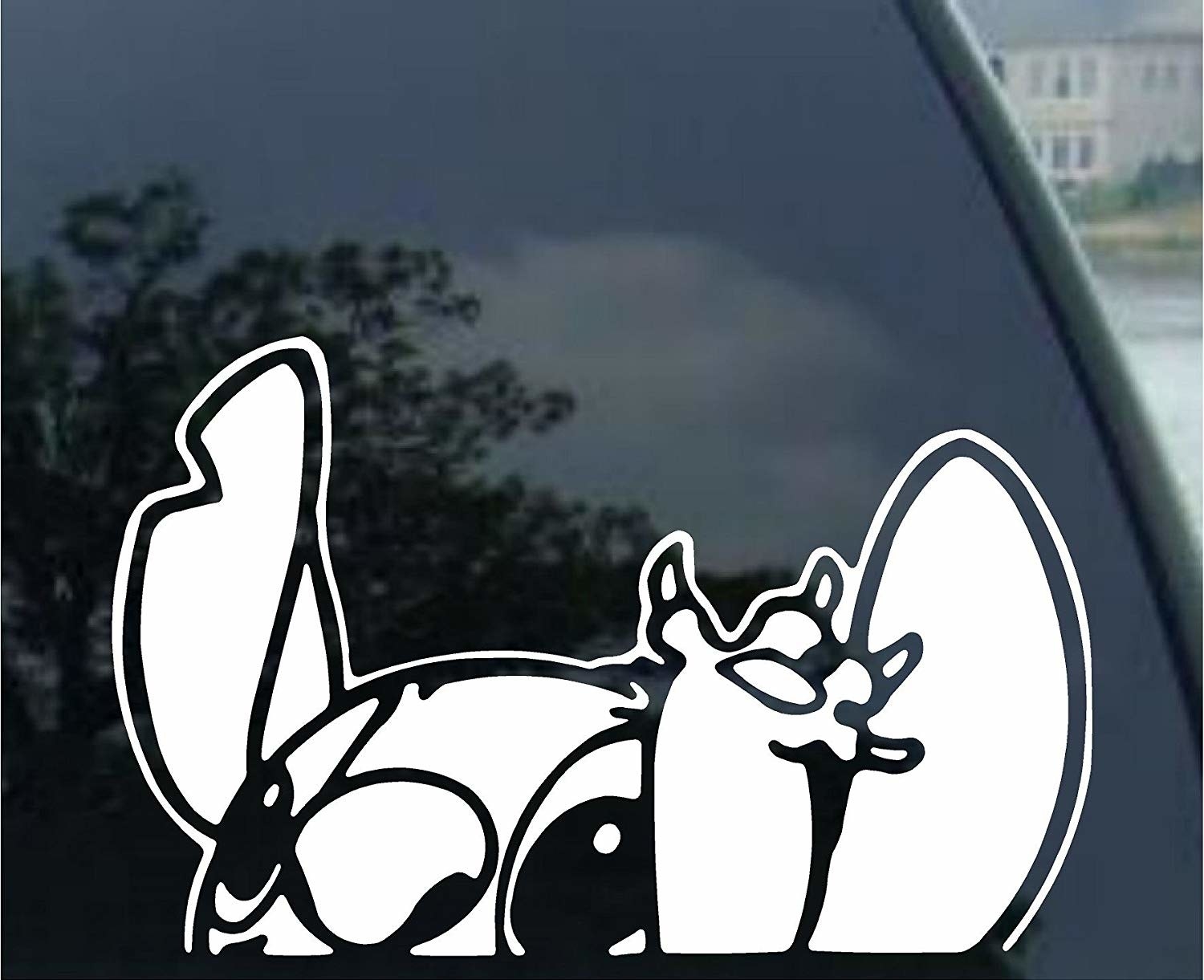 white stitch sticker on back of car