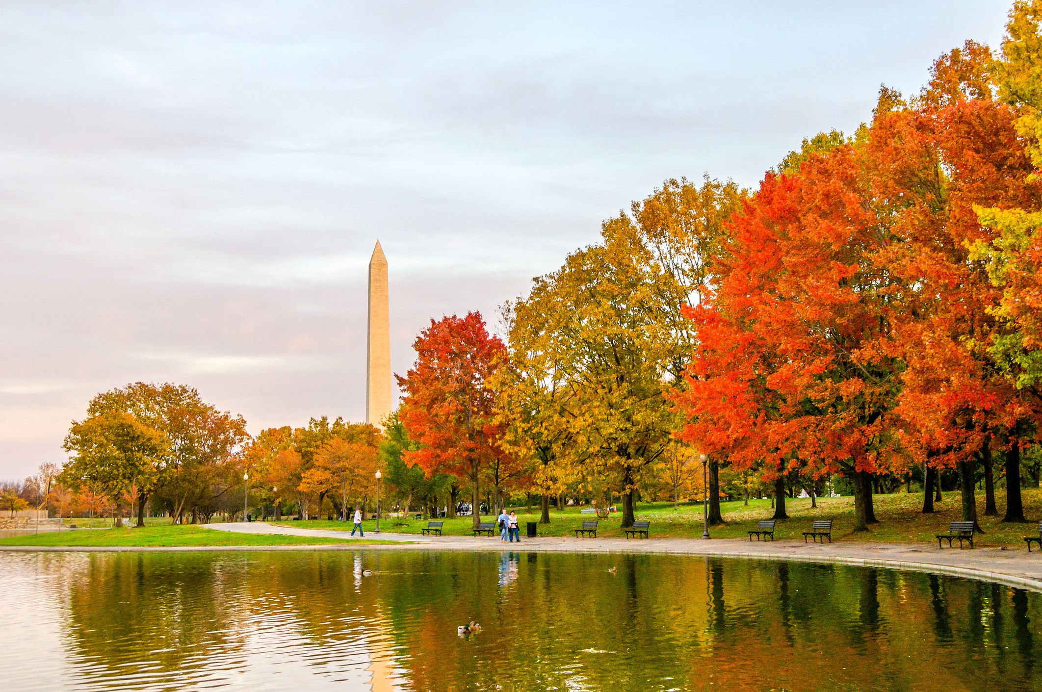 Fall in Washington DC.