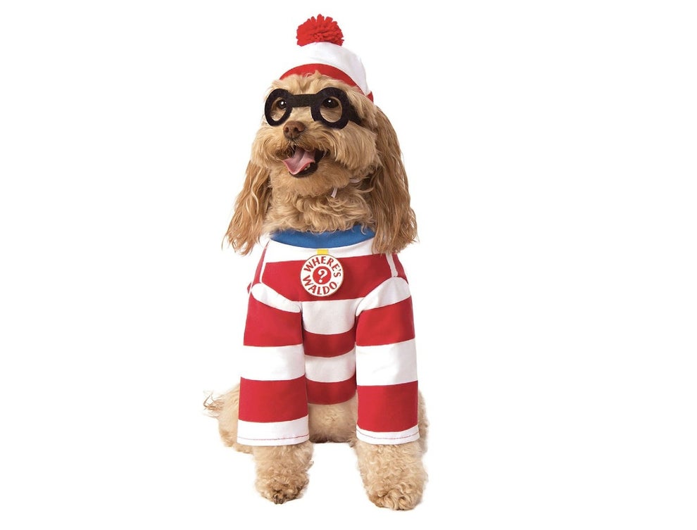 13 Dog Halloween Costumes That Will Absolutely Put You In The Halloween