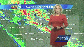 14 Meteorologists Whose Weather Reports Turned Funny 14 Meteorologists Whose Weather Reports Turned Funny