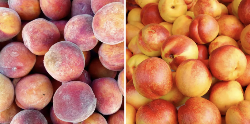 Peaches and nectarines next to each other