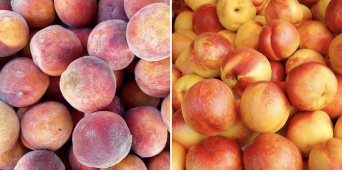 12 Facts About Nectarines 