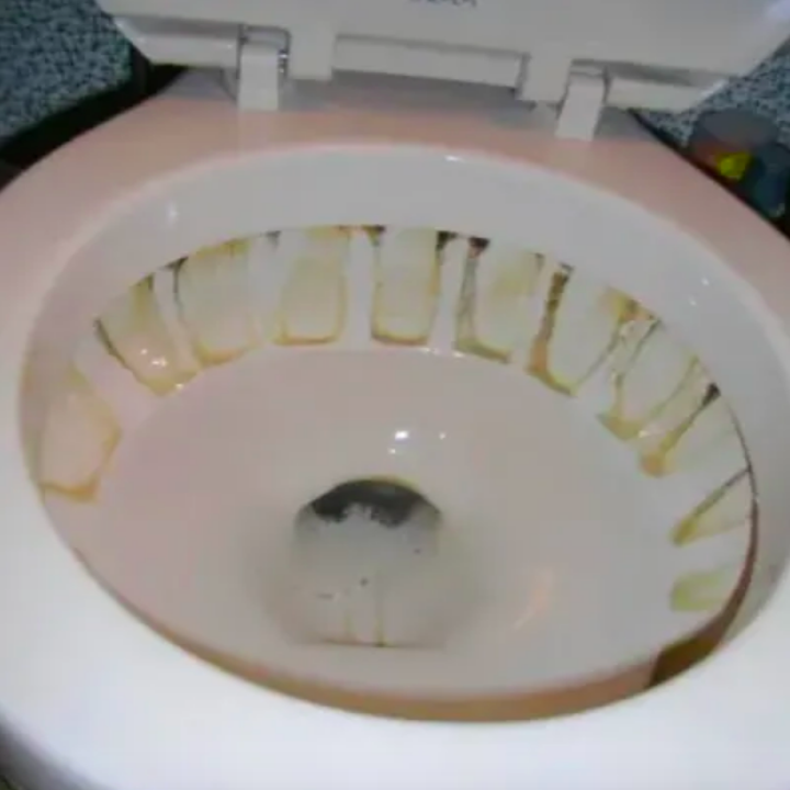 Reviewer's toilet with stains on edges of tank 