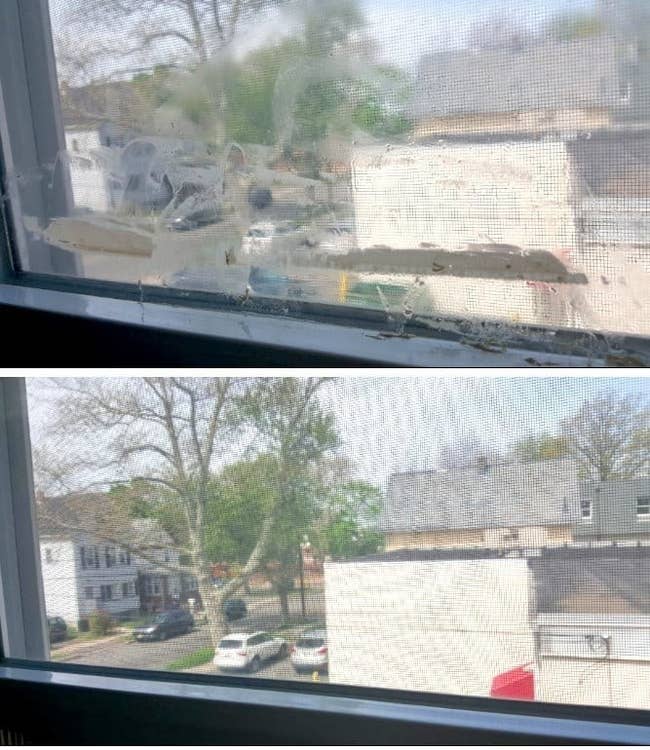 A reviewer's window before: view obscured by lots of duct tape residue and after: the same window, clean, with no residue in sight