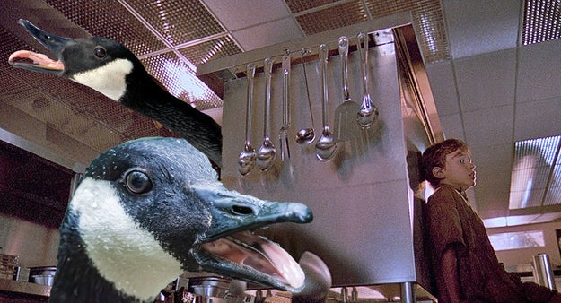 ちょっと待って ガチョウの 口の中 が衝撃的すぎてトラウマになりそう ちょっと待って ガチョウの 口の中 が衝撃的すぎてトラウマになりそう