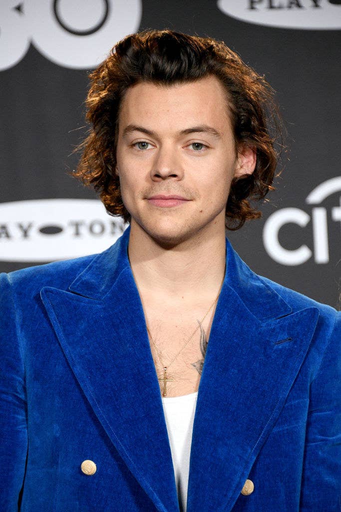 Harry Styles Turned Down The Little Mermaid To Pursue His -