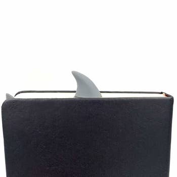 shark fin pop out from top of book