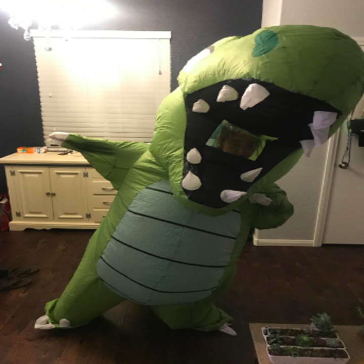 31 Halloween Costumes Under 30 You Can Get If Your Bank Account Looks