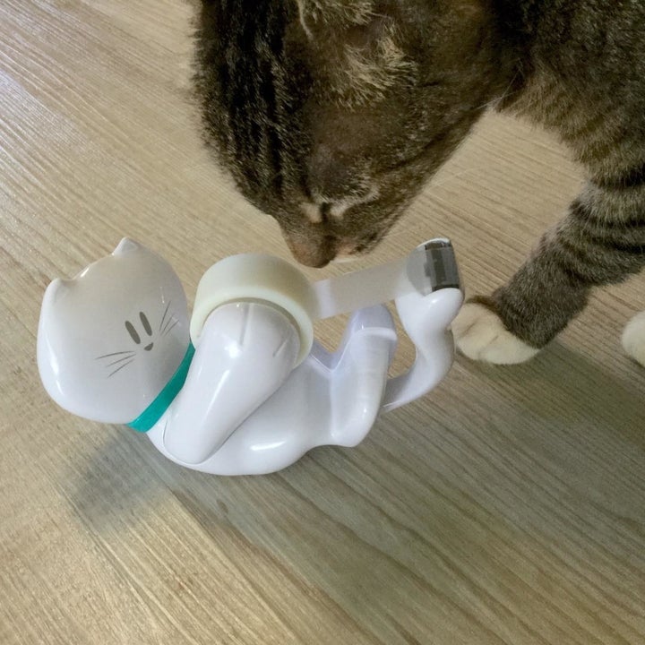25 Things Anyone Who Loves Cats Will Probably Adore