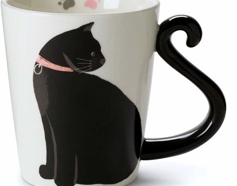 25 Things Anyone Who Loves Cats Will Probably Adore