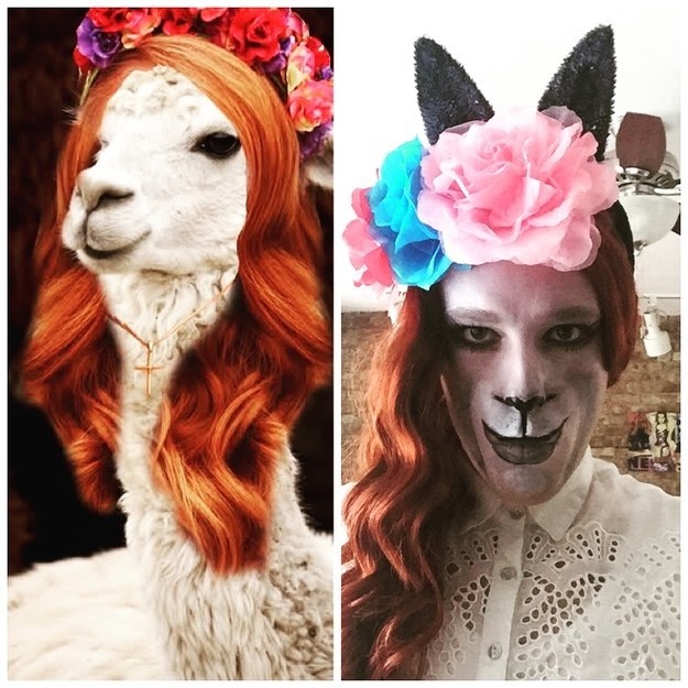A person with a red wig, flower crown, animal make up, and ears as a llama version of lana del rey
