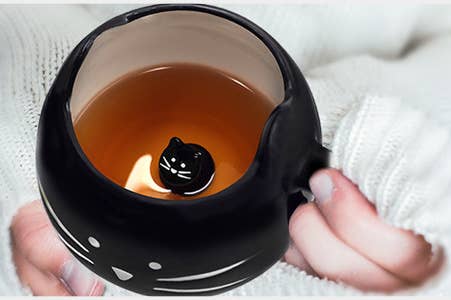 25 Things Anyone Who Loves Cats Will Probably Adore