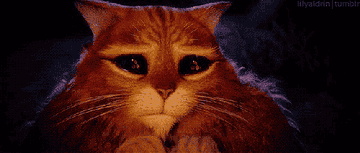 A gif of Puss in Boots from Shrek making puppy eyes 