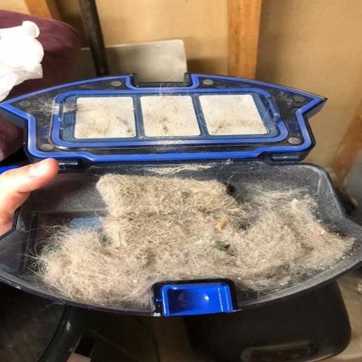reviewer showing how much dust and dirt the vacuum sucked up