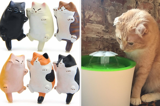 25 Things Anyone Who Loves Cats Will Probably Adore