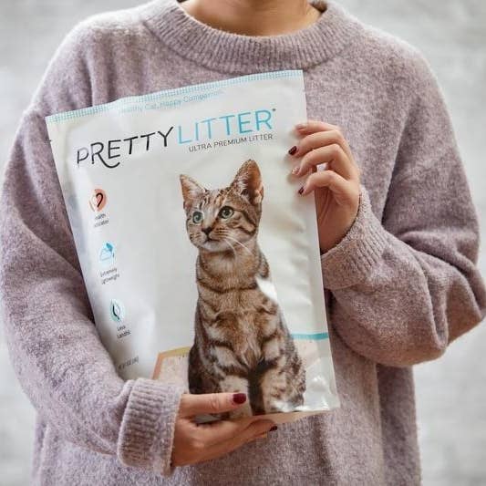 25 Things Anyone Who Loves Cats Will Probably Adore