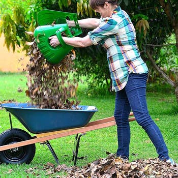 Model scooping the leaves into a wheelbarrow
