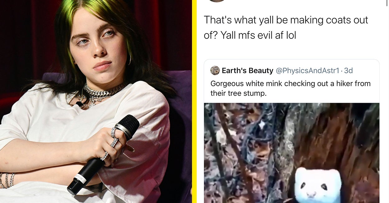 Billie Eilish Calls Out People Who Wear Mink Fur