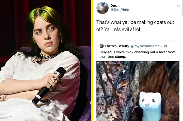 Billie Eilish Called Out People Who Wear Mink Clothes And Eyelashes After A Tweet Condemning Fur Coats Went Viral
